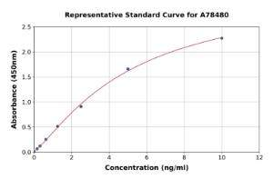 Representative standard curve for Human mTOR ELISA kit (A78480)