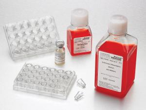 BioCoat™ Intestinal Epithelium Differentiation Media Pack