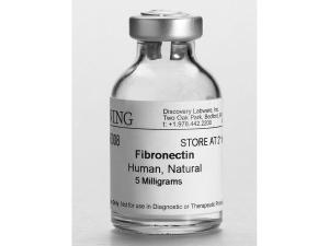 Human Fibronectin