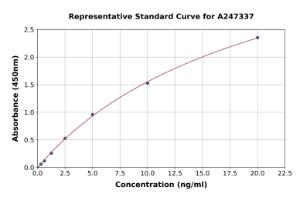 Representative standard curve for Human CaMKII beta ELISA kit (A247337)