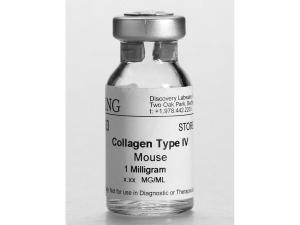 Mouse collagen Iv Pk10