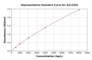 Representative standard curve for Mouse COX IV ELISA kit (A312436)