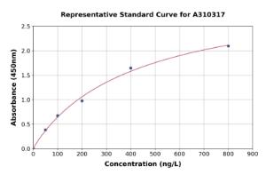 Representative standard curve for Human CASP ELISA kit (A310317)