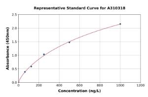 Representative standard curve for Mouse Atg10 ELISA kit (A310318)