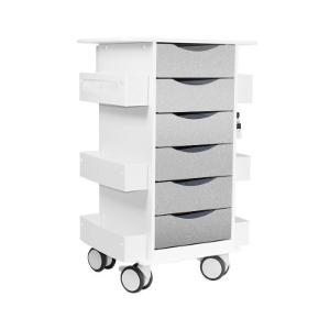 Core 6D cart with silver metallic drawers