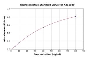 Representative standard curve for Human Calreticulin ELISA kit (A311939)