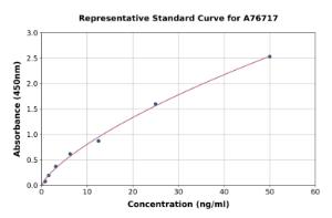 Representative standard curve for Human HSPA2 ELISA kit (A76717)