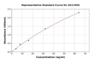 Representative standard curve for Human IGFBP2 ELISA kit (A311945)