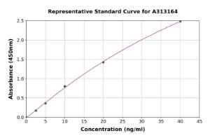 Representative standard curve for human Rad51 ELISA kit (A313164)