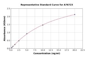 Representative standard curve for Human Syndecan 2/HSPG ELISA kit (A76723)