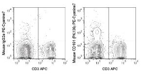 Anti-NK1.1 (CD161) Mouse Monoclonal Antibody (PE-Cyanine7) [clone: PK136]