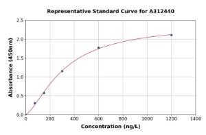 Representative standard curve for Human Cyclin Y ELISA kit (A312440)