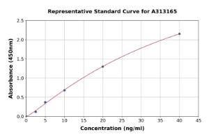 Representative standard curve for human Visfatin ELISA kit (A313165)