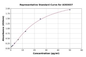 Representative standard curve for Human Artemin ELISA kit (A303037)