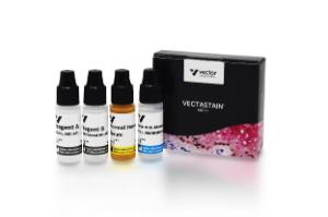 VECTASTAIN® ABC-AP kit, alkaline phosphatase (mouse IgG), 1 kit
