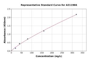 Representative standard curve for Mouse CD9 ELISA kit (A311966)