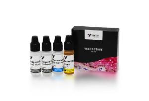 VECTASTAIN® ABC-AP kit, alkaline phosphatase (rat IgG), 1 kit