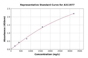 Representative standard curve for Human CHST11 ELISA kit (A311977)