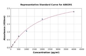 Representative standard curve for Rat EPO ELISA kit (A80291)