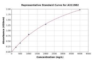 Representative standard curve for Human RHPN1 ELISA kit (A311982)