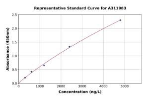 Representative standard curve for Human NOTCH4 ELISA kit (A311983)