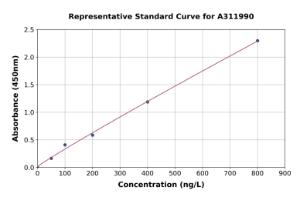 Representative standard curve for Human FGF2 ELISA kit (A311990)