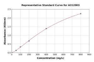 Representative standard curve for Human Src ELISA kit (A312003)