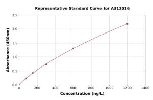 Representative standard curve for Mouse IDH3A ELISA kit (A312016)