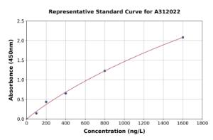 Representative standard curve for Human ENO1 ELISA kit (A312022)