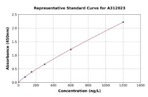 Representative standard curve for Human CD2AP ELISA kit (A312023)