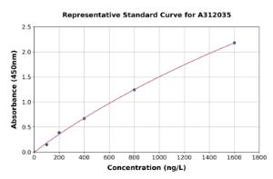 Representative standard curve for Human DCAKD ELISA kit (A312035)