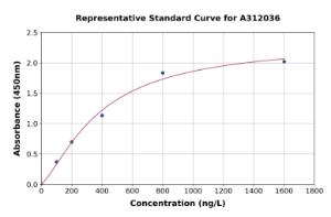 Representative standard curve for Human IFI35 ELISA kit (A312036)