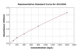 Representative standard curve for Human CCR9 ELISA kit (A312040)