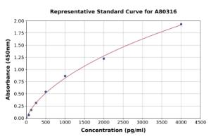 Representative standard curve for Rat HGF ELISA kit (A80316)