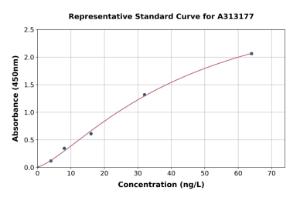 Representative standard curve for human IL-18 ELISA kit (A313177)