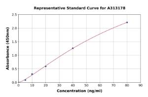 Representative standard curve for human IL-9R ELISA kit (A313178)
