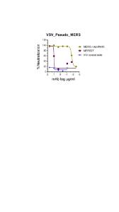 Neutralizing antibody test using pseudovirus