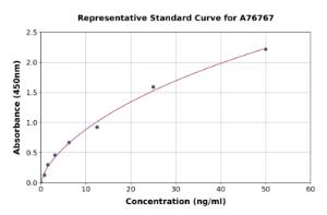 Representative standard curve for Human IKK gamma/NEMO ELISA kit (A76767)