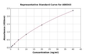 Representative standard curve for Rat Metallothionein/MT2 ELISA kit (A80343)