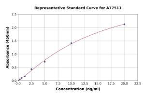 Representative standard curve for Human Wnt7b ELISA kit (A77511)