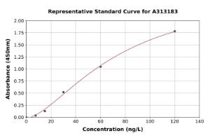 Representative standard curve for human FOXO3A ELISA kit (A313183)
