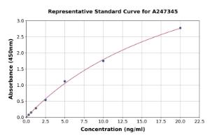 Representative standard curve for Human FAM38A/PIEZO1 ELISA kit (A247345)