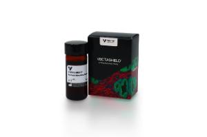 VECTASHIELD® antifade mounting medium, 10 ml