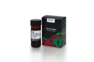 VECTASHIELD® antifade mounting medium with DAPI, 10 ml