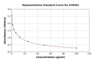 Representative standard curve for Rat Nociceptin ELISA kit (A78563)