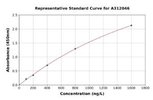 Representative standard curve for Human Wnt4 ELISA kit (A312046)