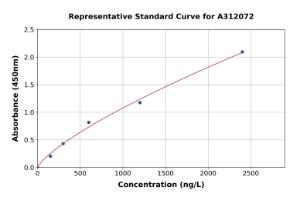 Representative standard curve for Mouse SYN2 ELISA kit (A312072)