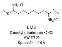 Pierce™ Deuterium-labeled Cross Linkers, Thermo Scientific