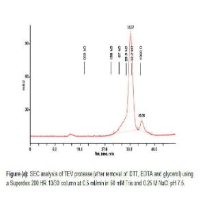 EZCut™ TEV Protease, Recombinant