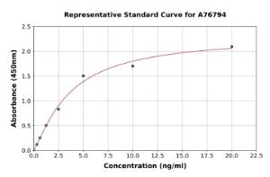 Representative standard curve for Rat IL-2 Receptor alpha ELISA kit (A76794)